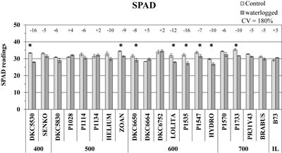 Morphological Changes and Expressions of AOX1A, CYP81D8, and Putative PFP Genes in a Large Set of Commercial Maize Hybrids Under Extreme Waterlogging